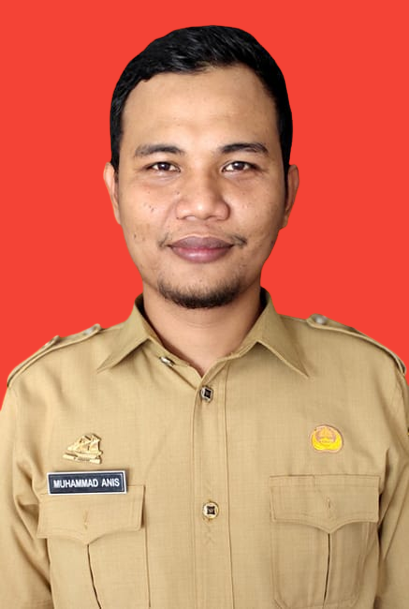 MUHAMMAD ANIS, S.Pd